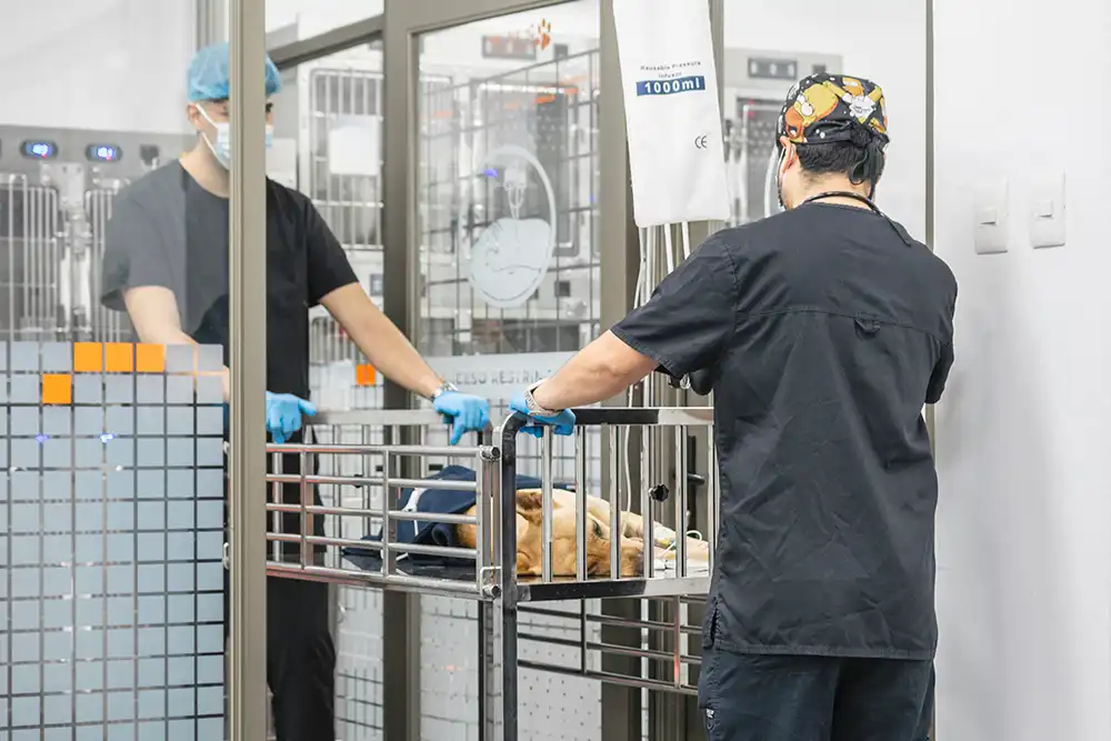 nosotros_0503-optimized