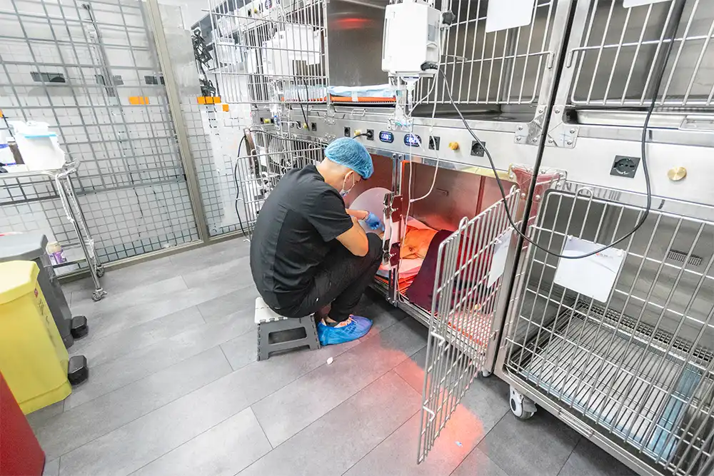 nosotros_0523-optimized