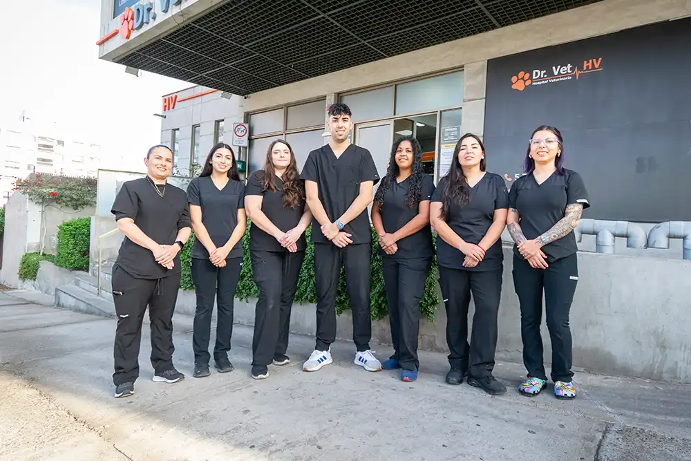 nosotros_0570-optimized